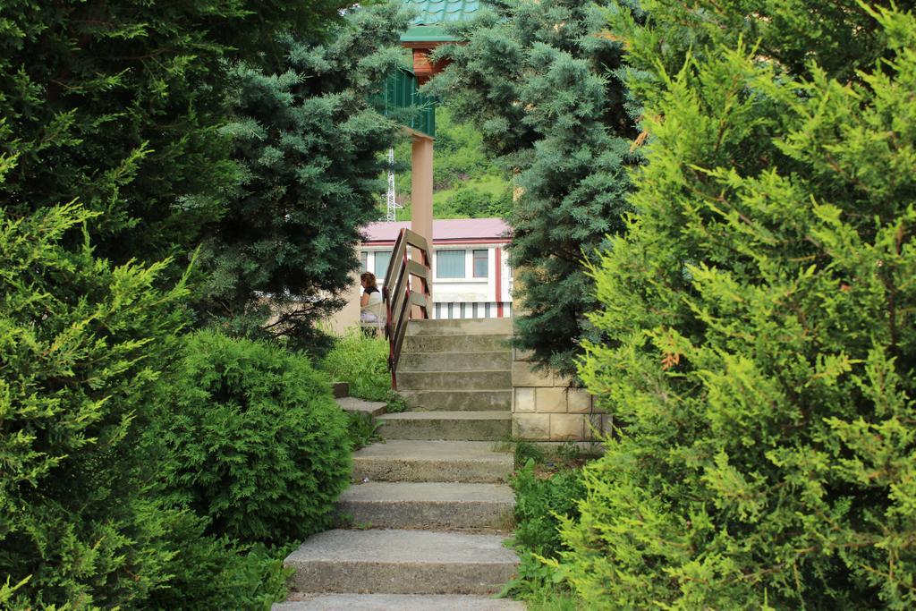 Guesthouse Eko Piva Plužine Kültér fotó